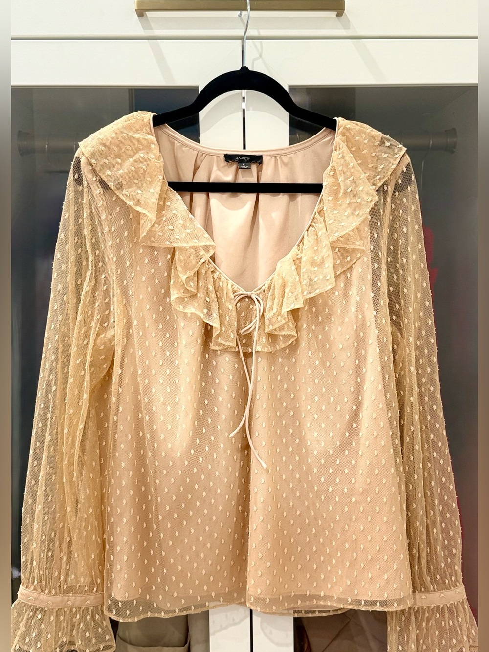 J.Crew Swiss Dot Ruffle Blouse | Sheer Mesh Long Sleeve Top | Champagne Beige L